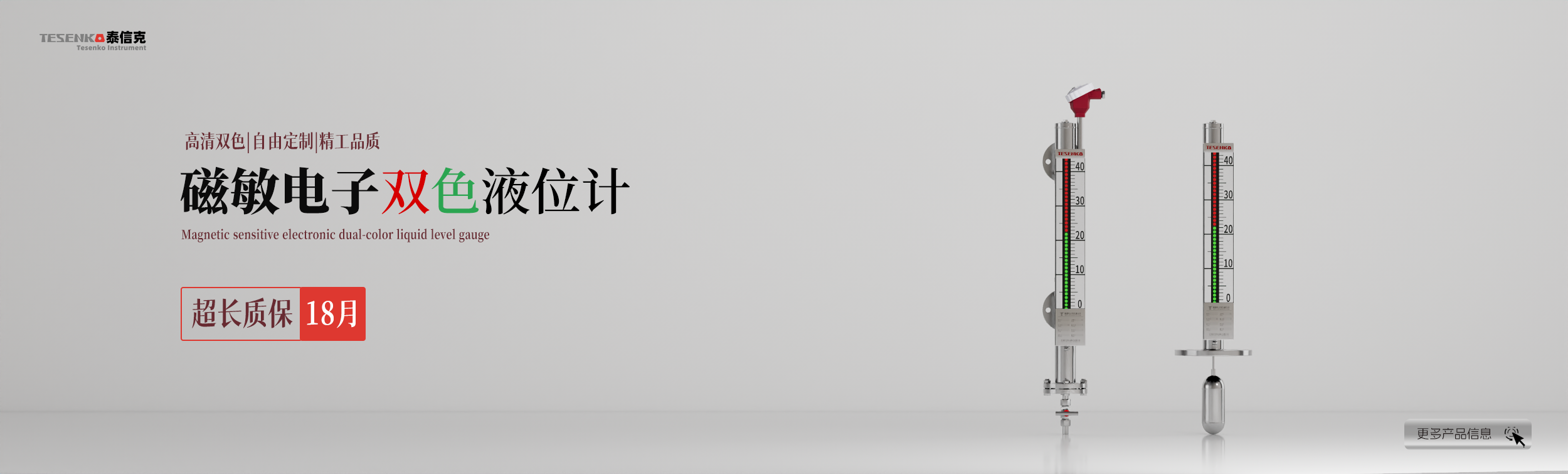 河南泰信克儀表技術有限公司